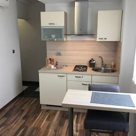 Apartmaji Dolgi Most ليوبليانا